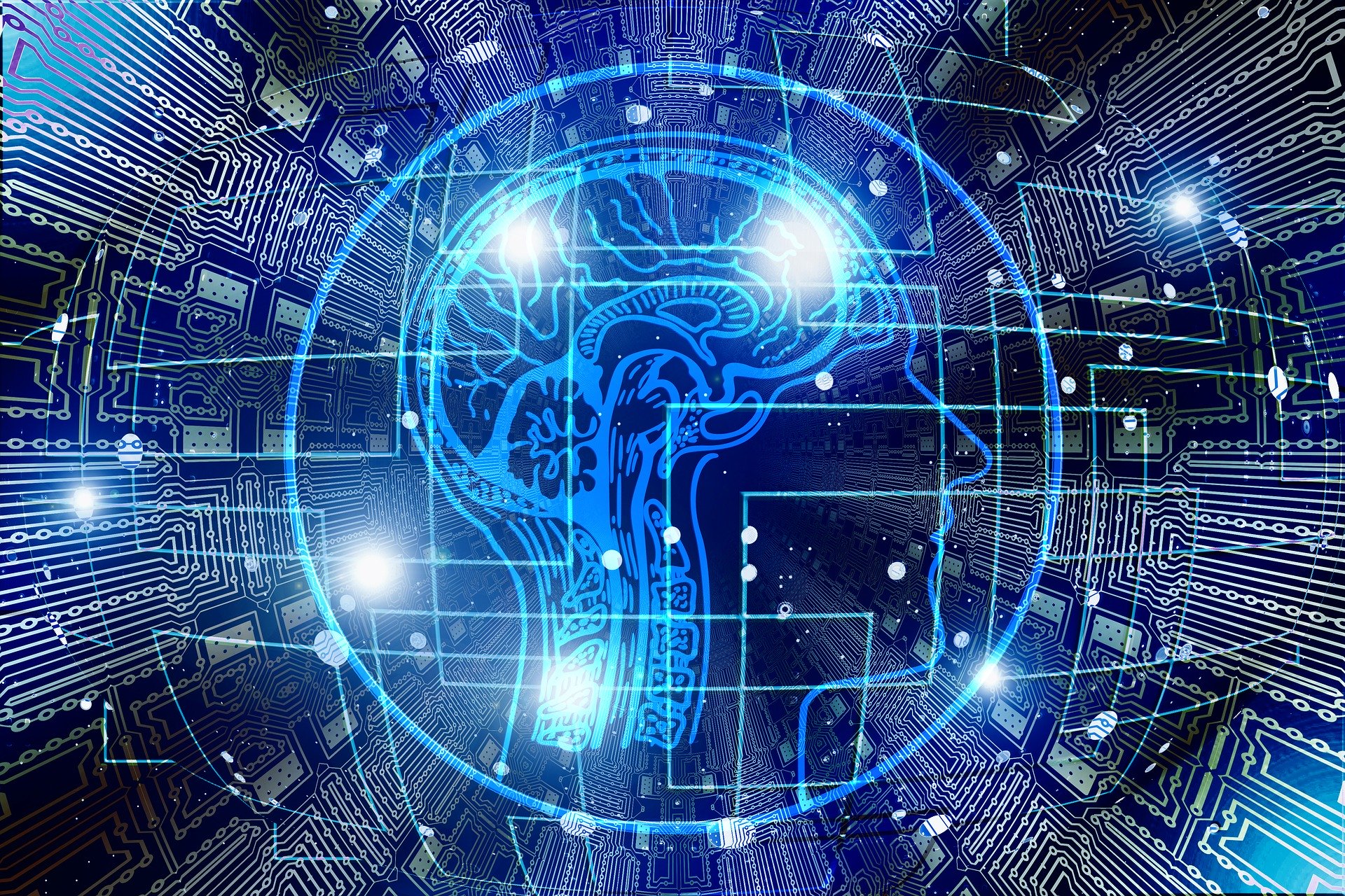 Comprendre le lien entre cerveau et histoire